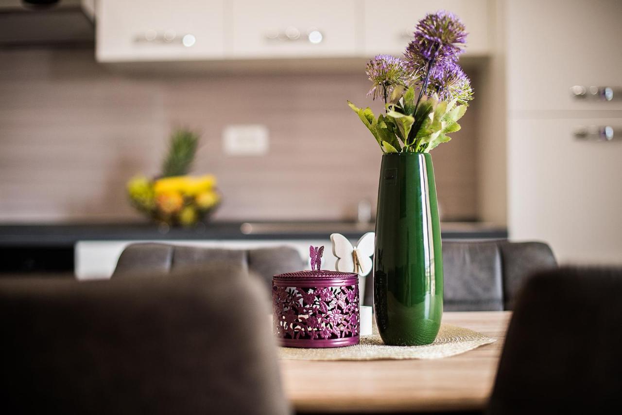 Apartament Brdar